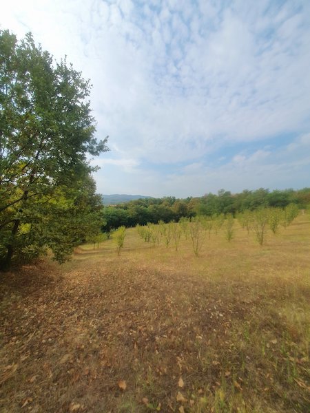 slika nekretnine