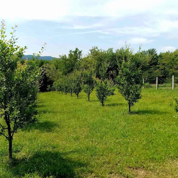 slika nekretnine