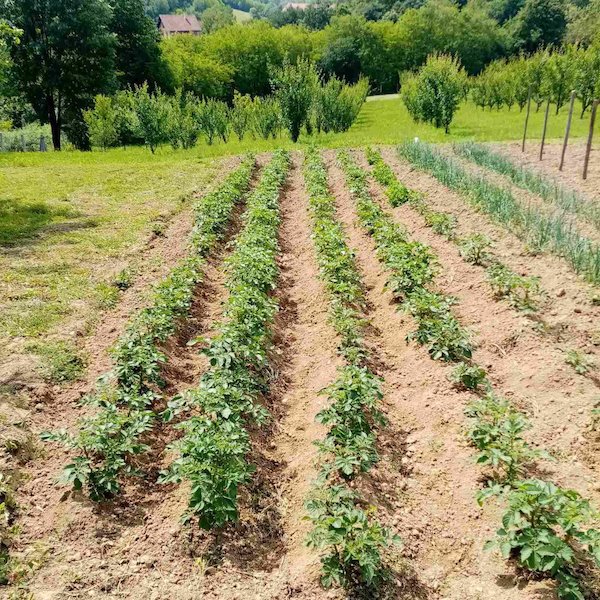 slika nekretnine