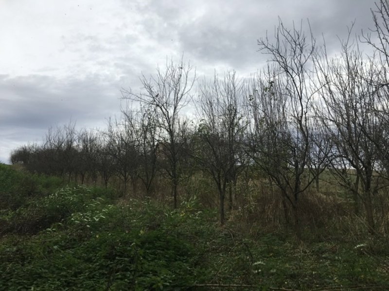 slika nekretnine