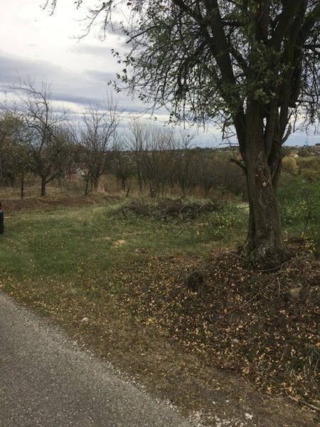 slika nekretnine