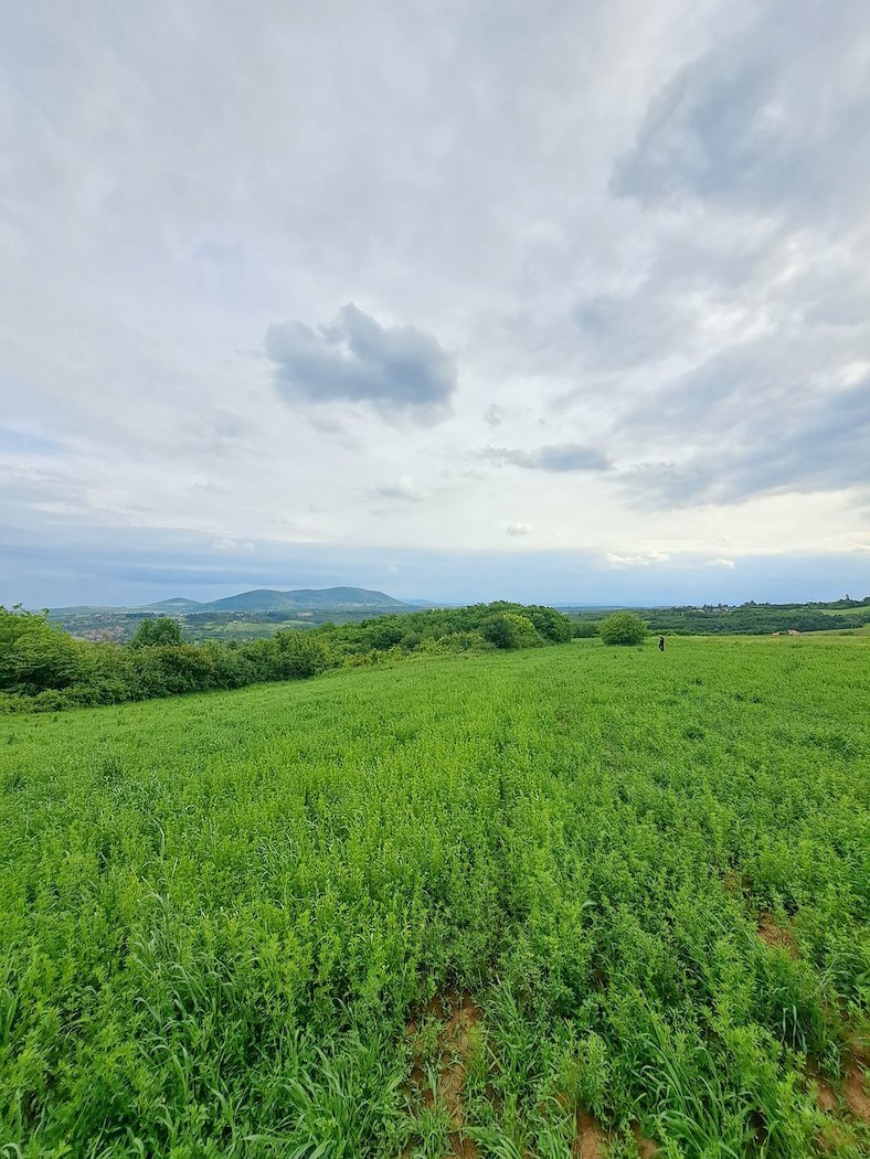 images
