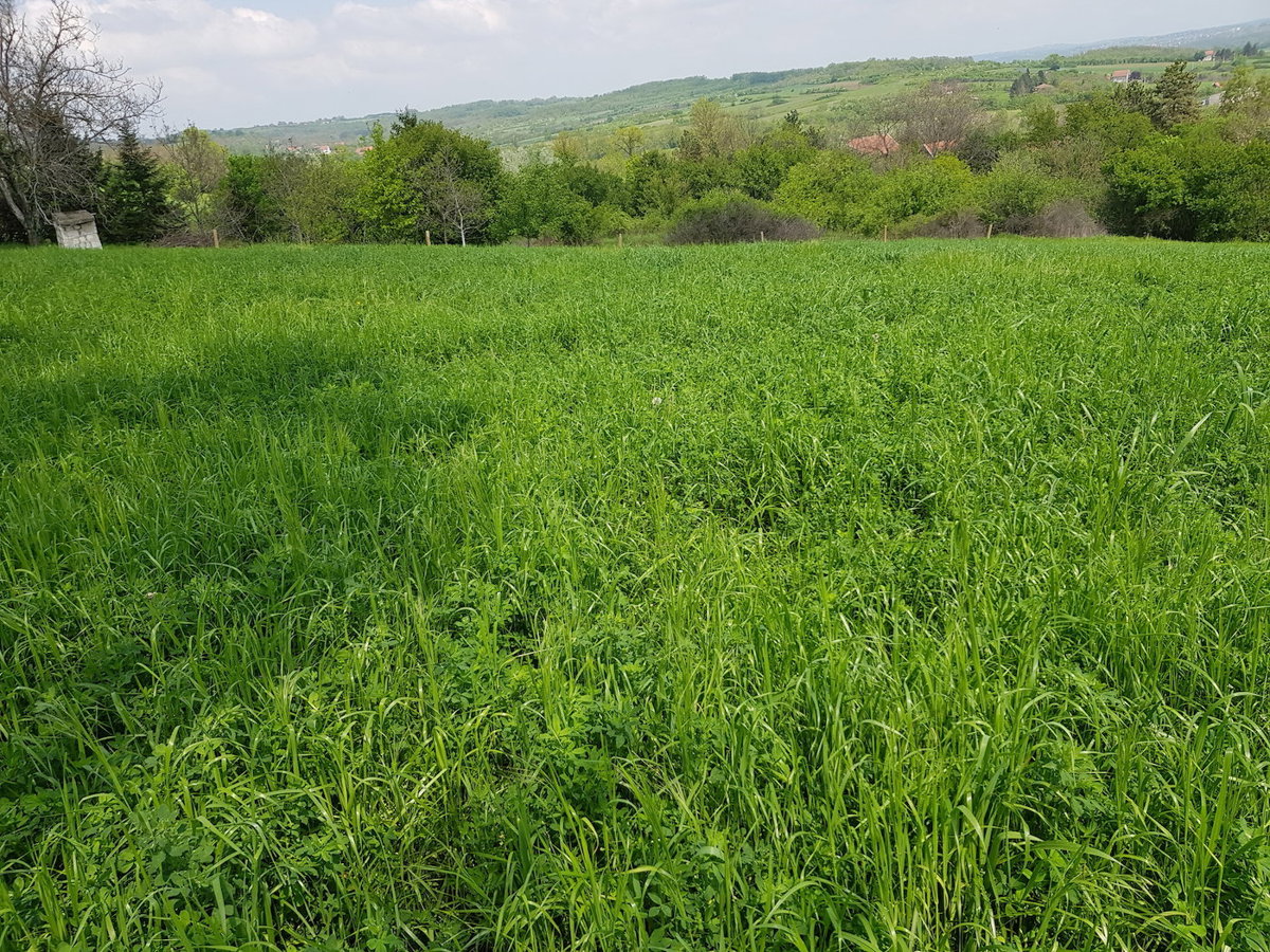 slika nekretnine